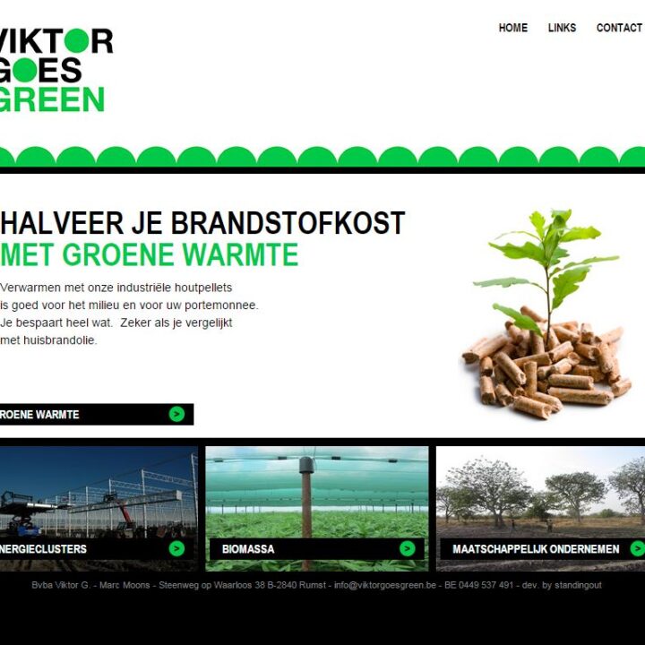 Website van Viktor Goes Green